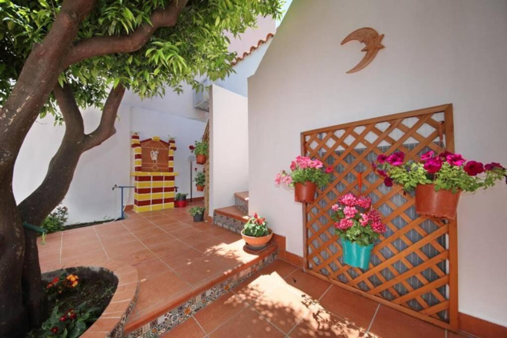 Philoxenia Guest House スコペロス エクステリア 写真